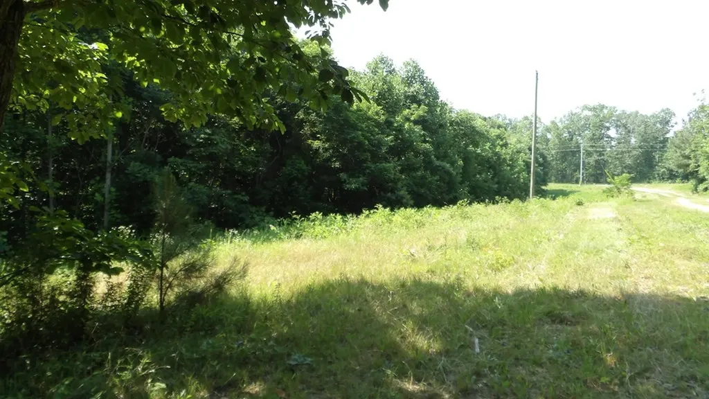 13.87AC Pleasant Cemetery Lane Gainesboro TN 38562