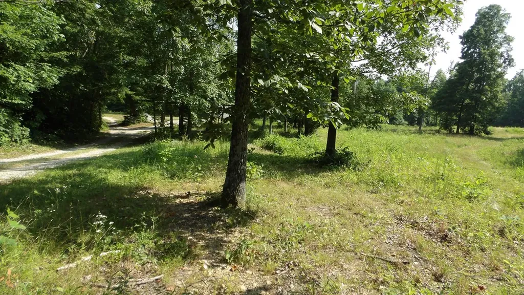 13.87AC Pleasant Cemetery Lane Gainesboro TN 38562