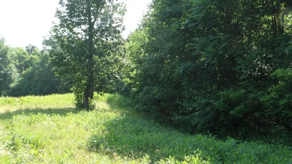 13.87AC Pleasant Cemetery Lane Gainesboro TN 38562