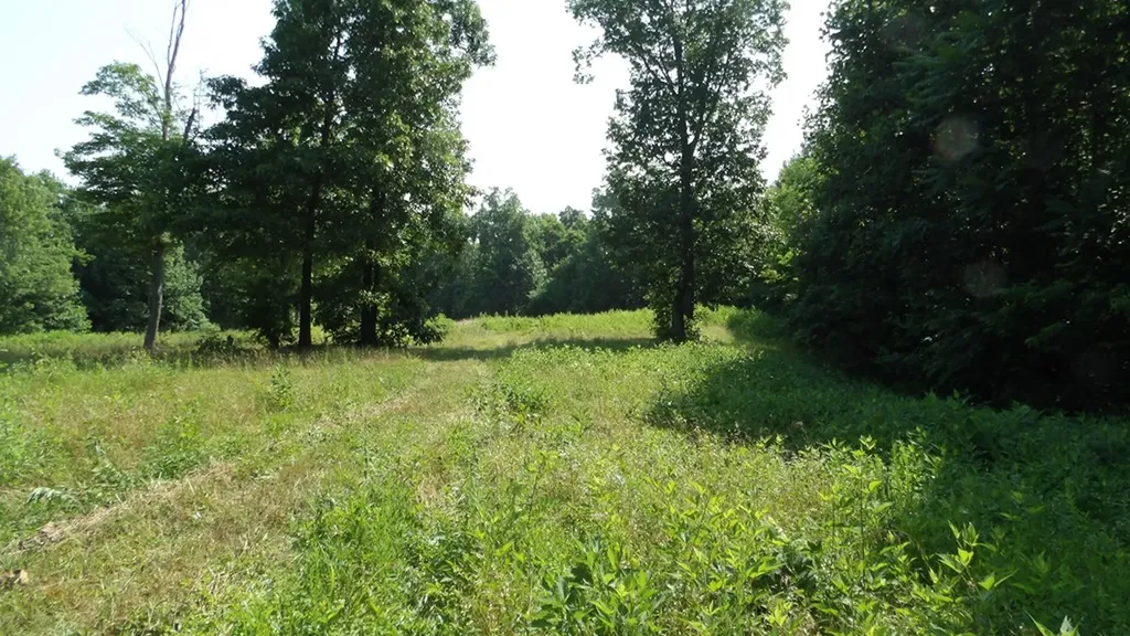 13.87AC Pleasant Cemetery Lane Gainesboro TN 38562