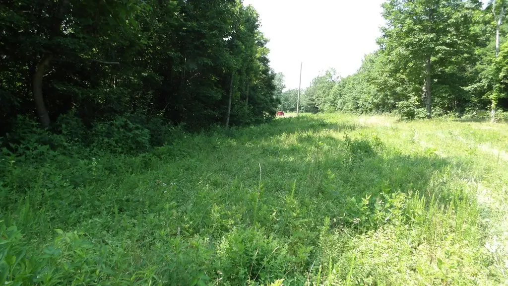 13.87AC Pleasant Cemetery Lane Gainesboro TN 38562