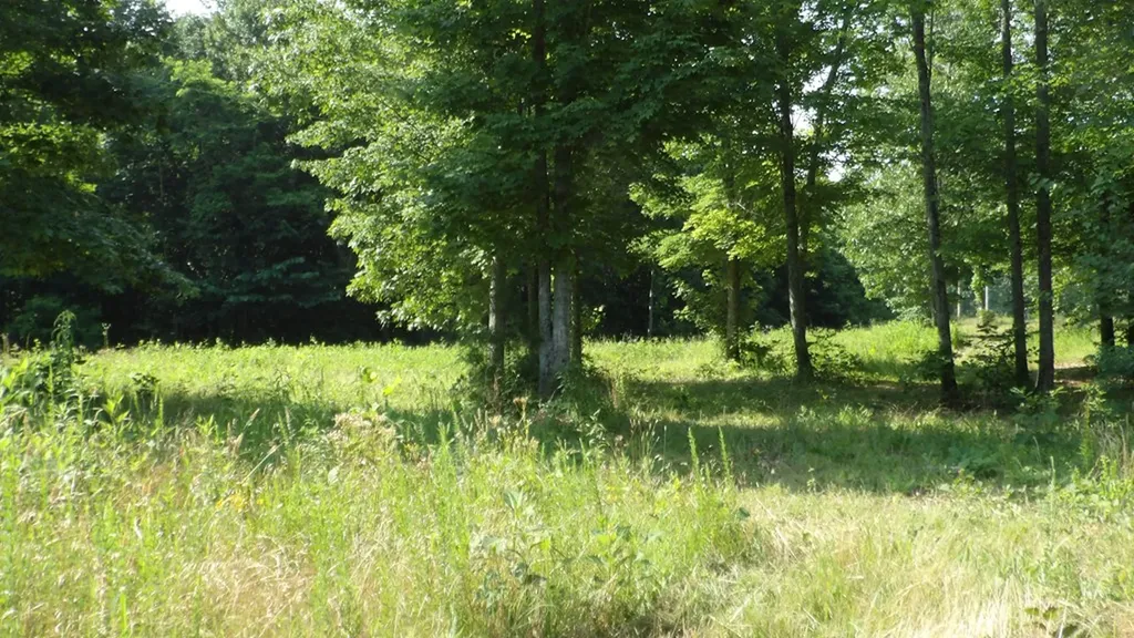 13.87AC Pleasant Cemetery Lane Gainesboro TN 38562