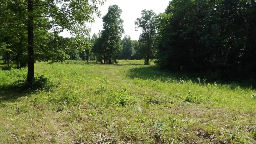 13.87AC Pleasant Cemetery Lane Gainesboro TN 38562