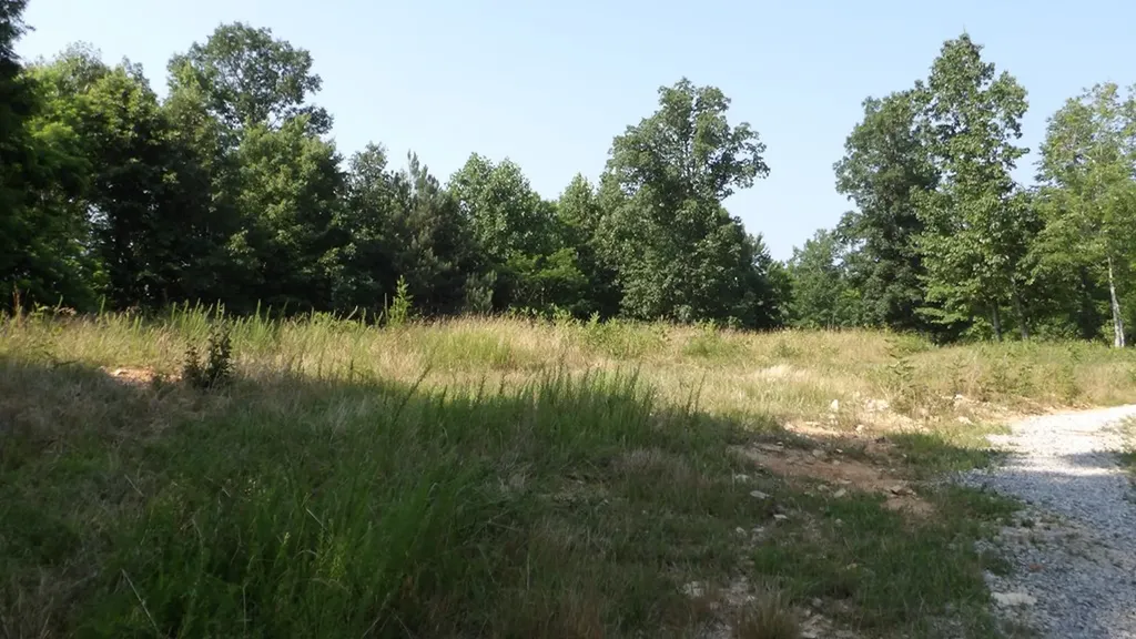 13.87AC Pleasant Cemetery Lane Gainesboro TN 38562
