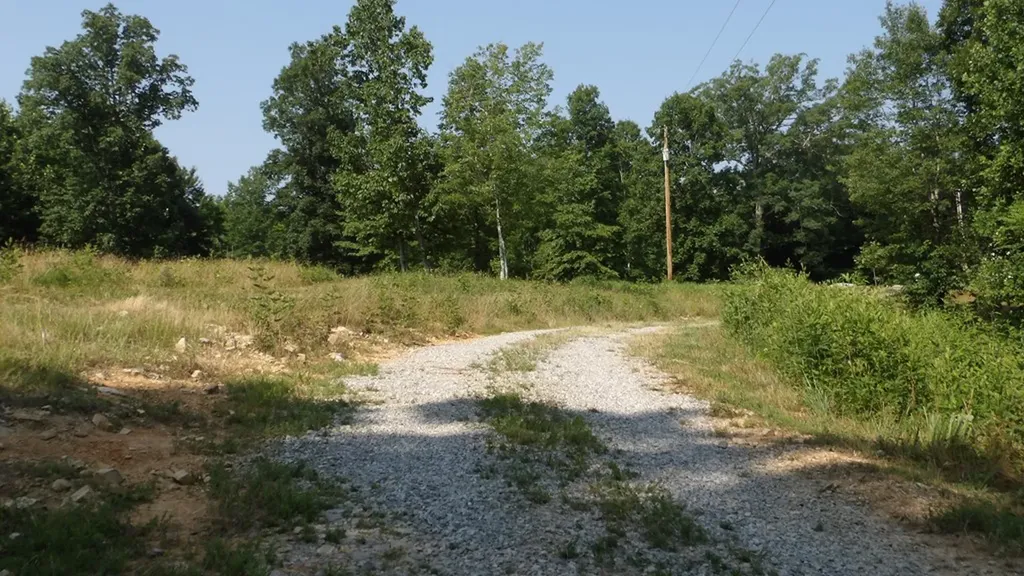 13.87AC Pleasant Cemetery Lane Gainesboro TN 38562