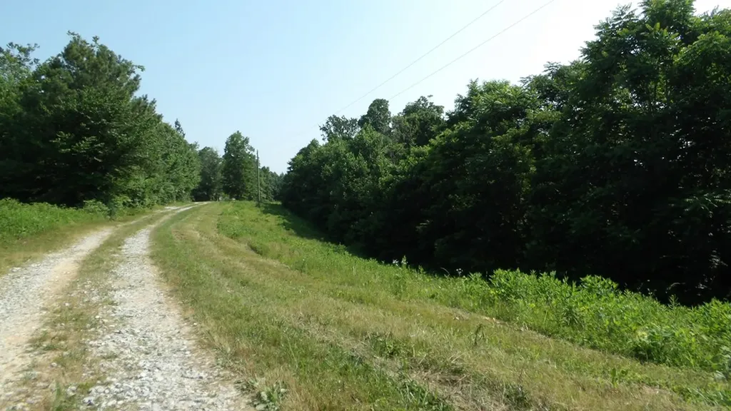 13.87AC Pleasant Cemetery Lane Gainesboro TN 38562
