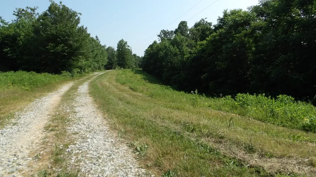 13.87AC Pleasant Cemetery Lane Gainesboro TN 38562