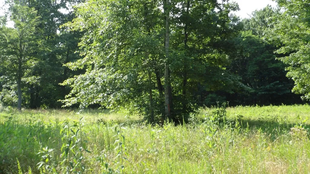 13.87AC Pleasant Cemetery Lane Gainesboro TN 38562