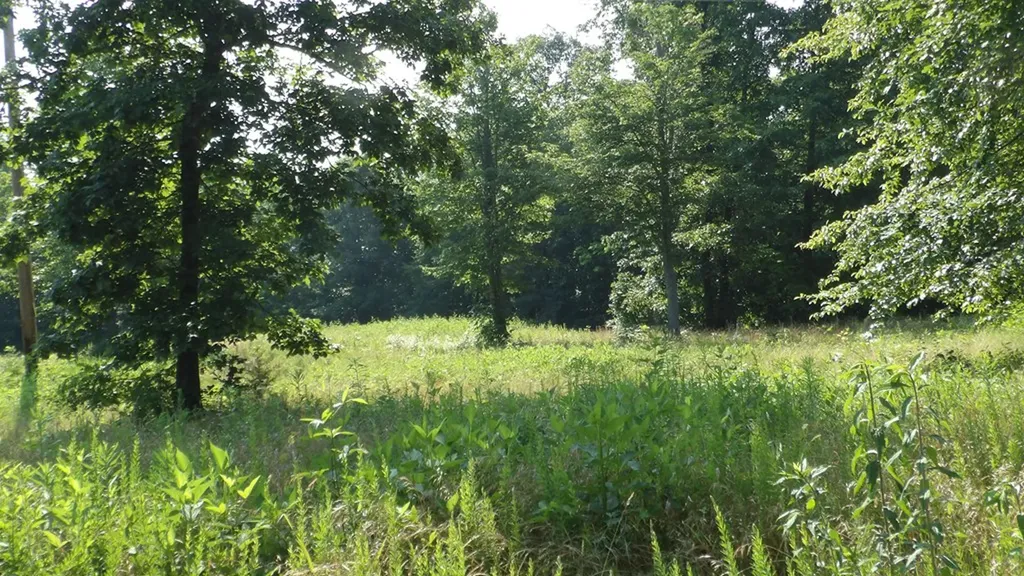 13.87AC Pleasant Cemetery Lane Gainesboro TN 38562
