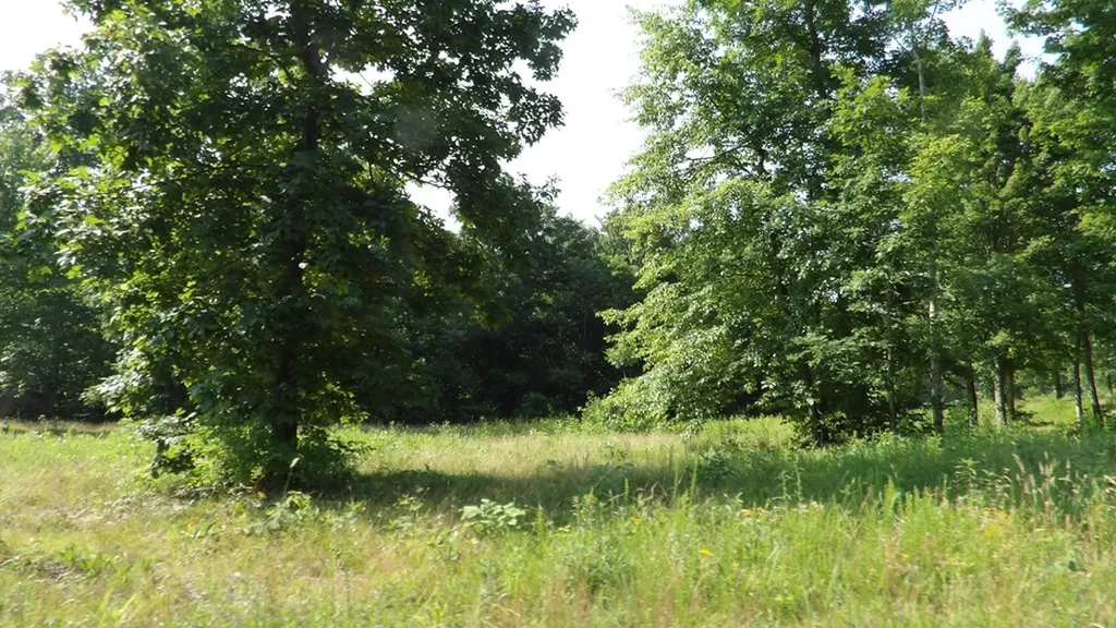 13.87AC Pleasant Cemetery Lane Gainesboro TN 38562