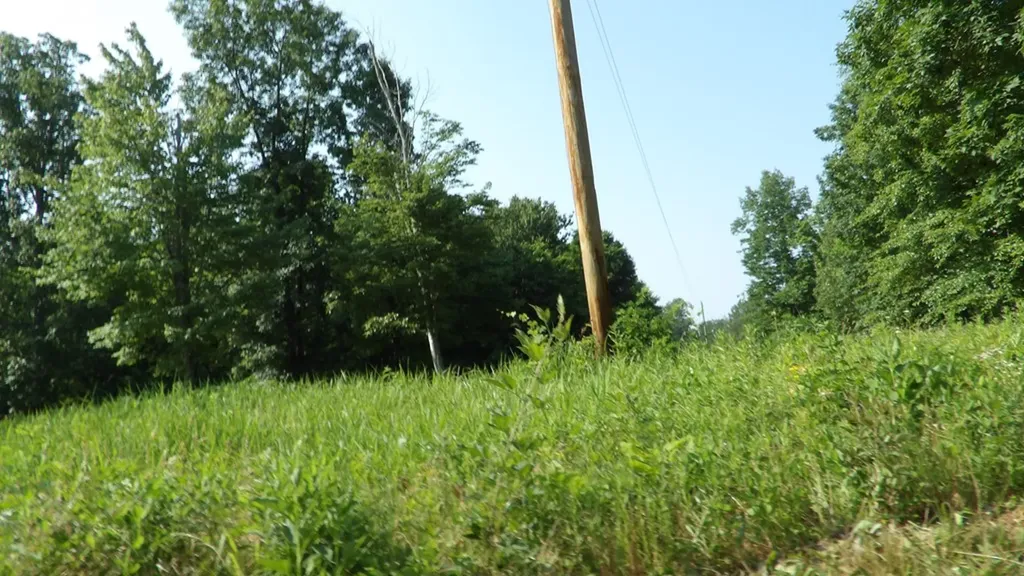 13.87AC Pleasant Cemetery Lane Gainesboro TN 38562