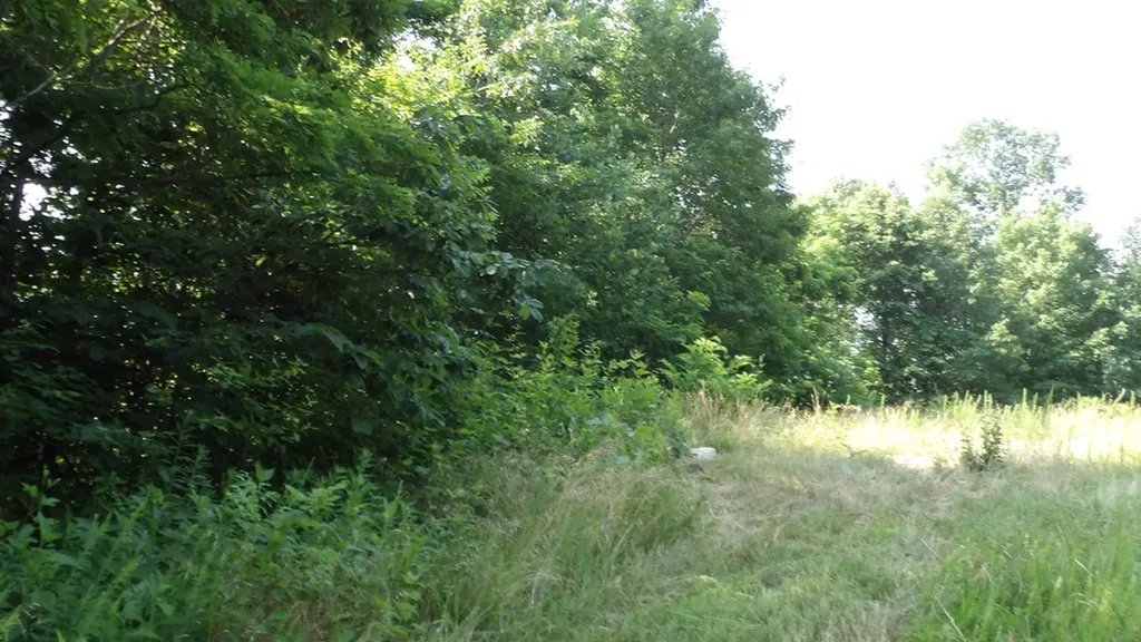 13.87AC Pleasant Cemetery Lane Gainesboro TN 38562