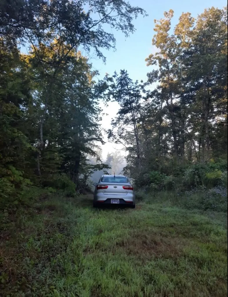 4889 NW Willow Grove Highway Allons TN 38541