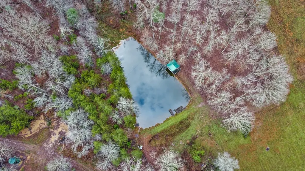 2620 Deer Lodge Highway Deer Lodge TN 37726