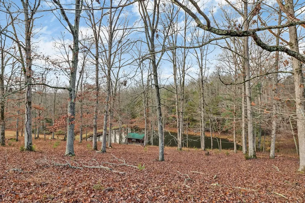 2620 Deer Lodge Highway Deer Lodge TN 37726