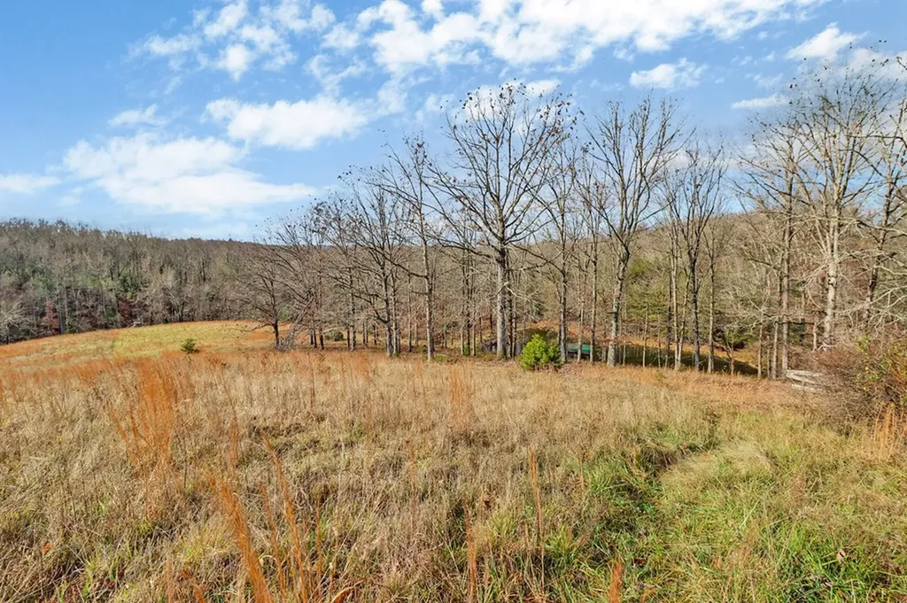 2620 Deer Lodge Highway Deer Lodge TN 37726