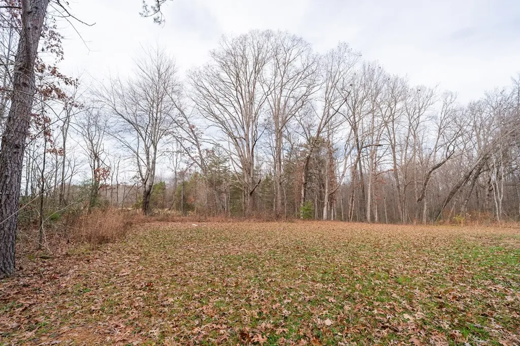 1561 Bicknell Road Clarkrange TN 38553