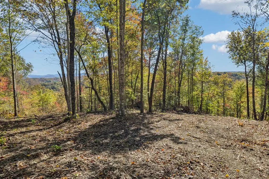 Tract 14 Off Of Sheep Ranch Road Robbins TN 37852