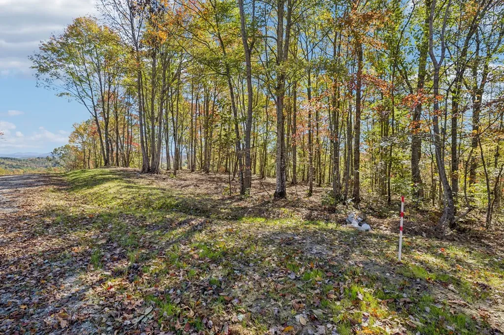 Tract 14 Off Of Sheep Ranch Road Robbins TN 37852