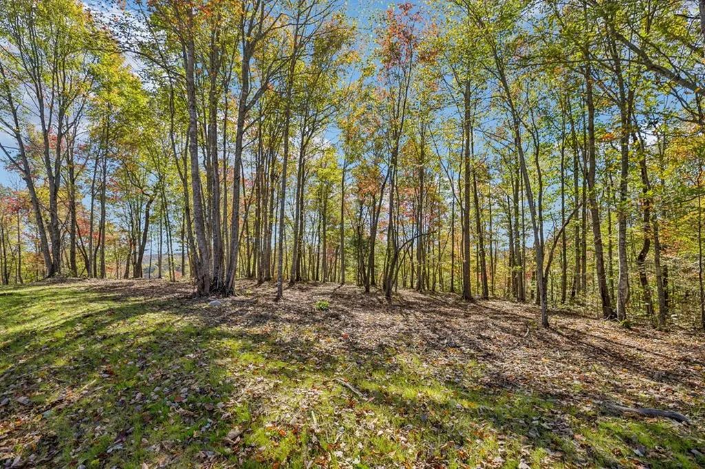 Tract 14 Off Of Sheep Ranch Road Robbins TN 37852