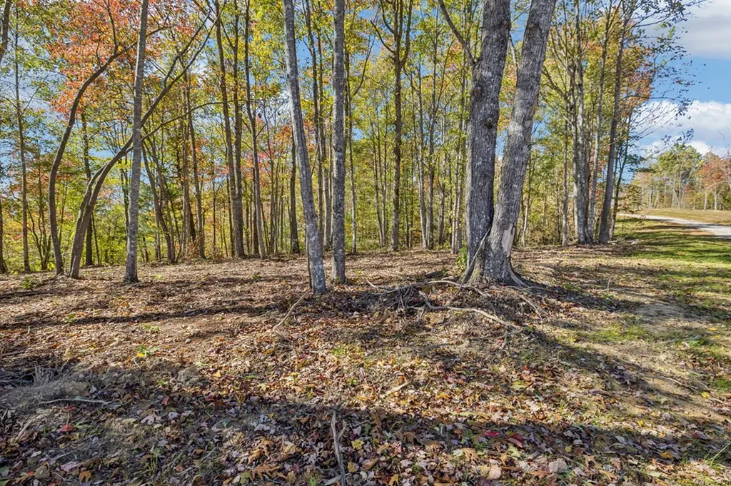 Tract 14 Off Of Sheep Ranch Road Robbins TN 37852