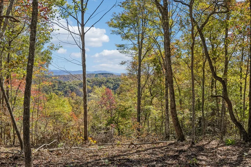 Tract 14 Off Of Sheep Ranch Road Robbins TN 37852