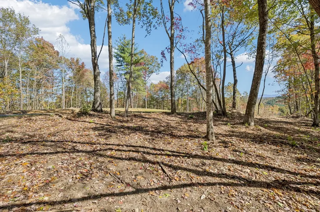 Tract 14 Off Of Sheep Ranch Road Robbins TN 37852