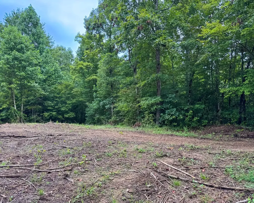 Tract 6 Sheep Ranch Road Robbins TN 37852