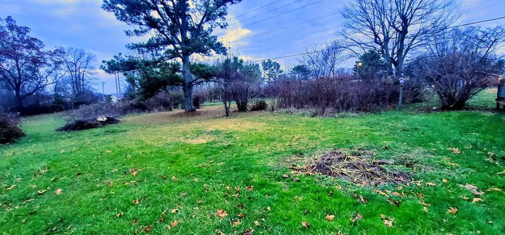 19 Turkey Scratch Spencer TN 38585