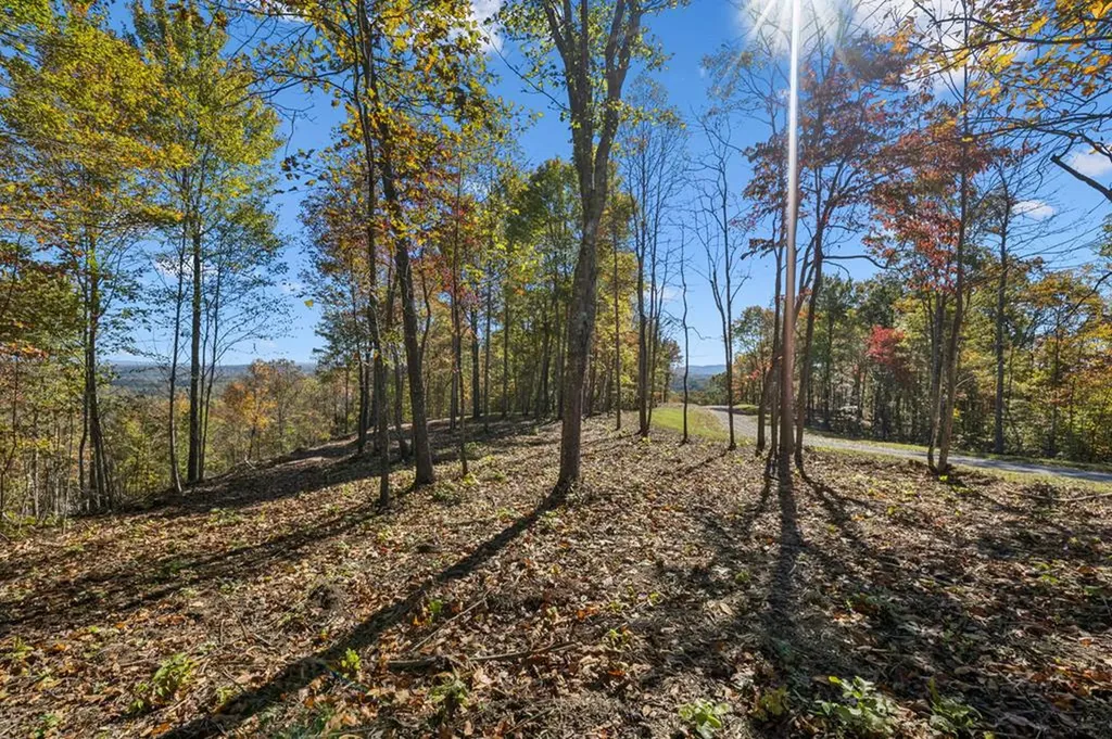Tract 3 Off Of Sheep Ranch Road Robbins TN 37852