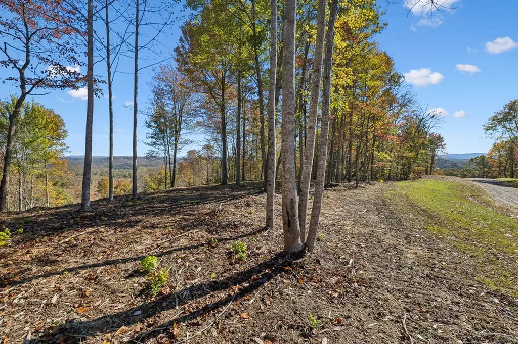Tract 3 Off Of Sheep Ranch Road Robbins TN 37852