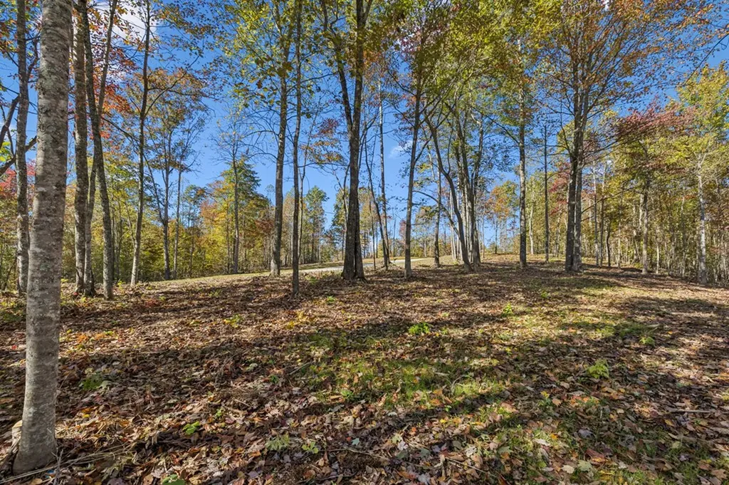 Tract 3 Off Of Sheep Ranch Road Robbins TN 37852