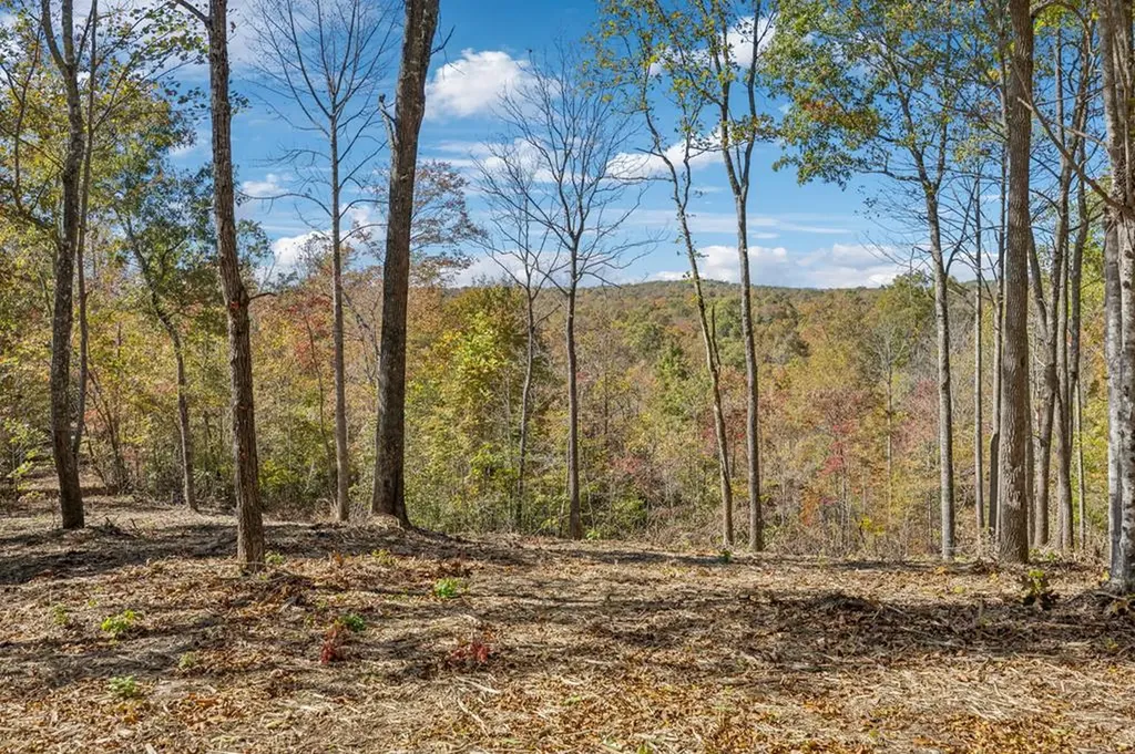 Tract 9 Off Of Sheep Ranch Road Robbins TN 37852