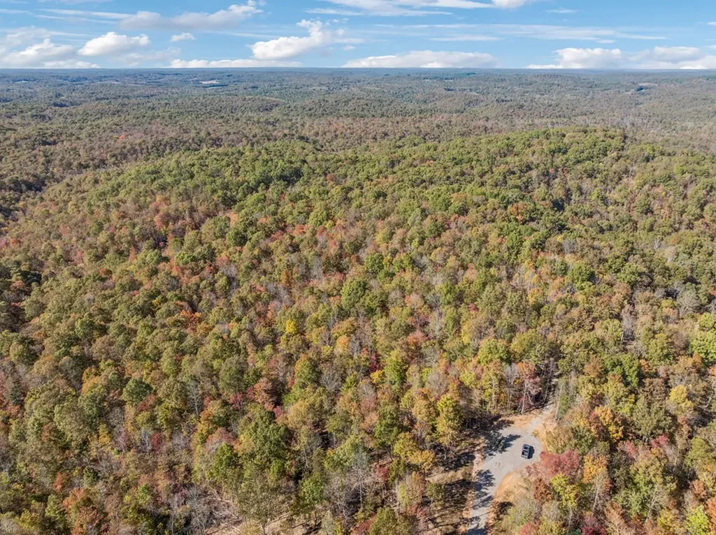 Tract 9 Off Of Sheep Ranch Road Robbins TN 37852