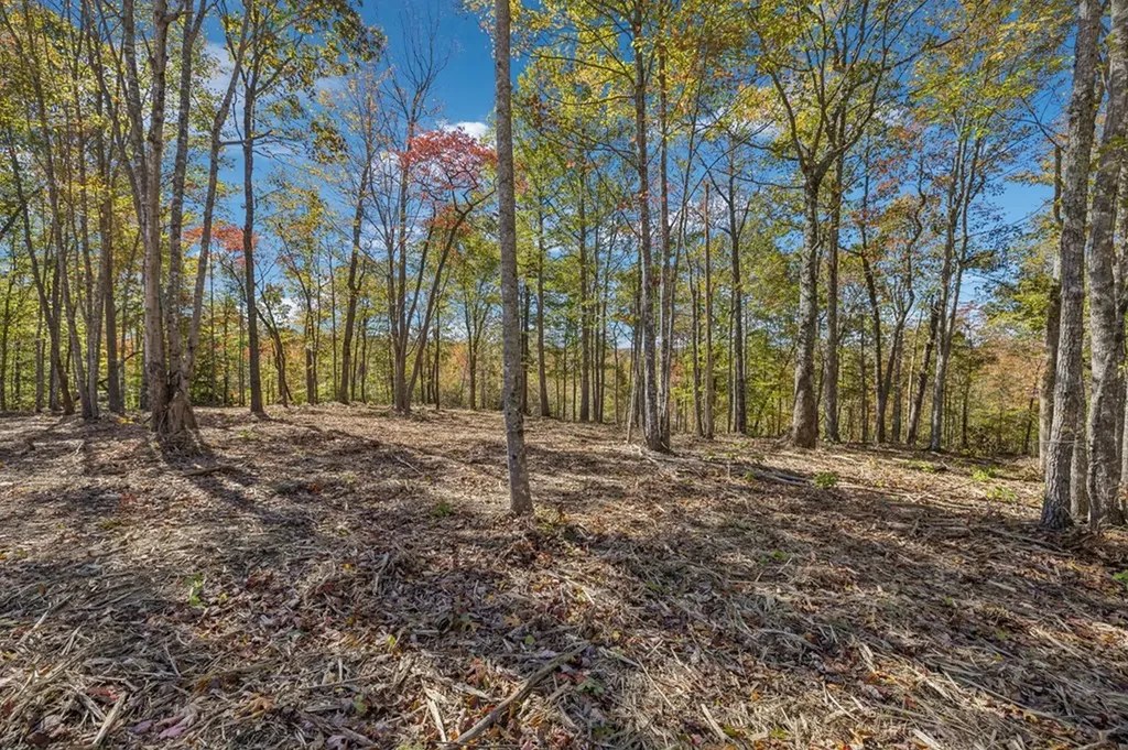 Tract 9 Off Of Sheep Ranch Road Robbins TN 37852