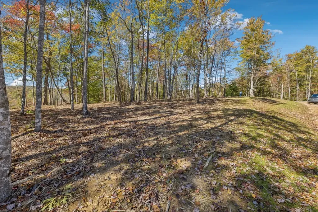 Tract 9 Off Of Sheep Ranch Road Robbins TN 37852