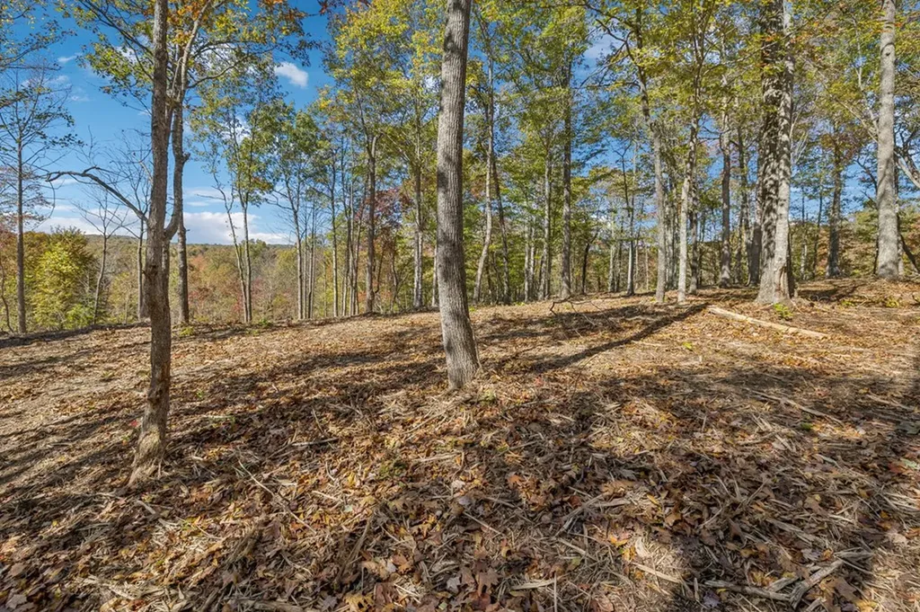 Tract 9 Off Of Sheep Ranch Road Robbins TN 37852