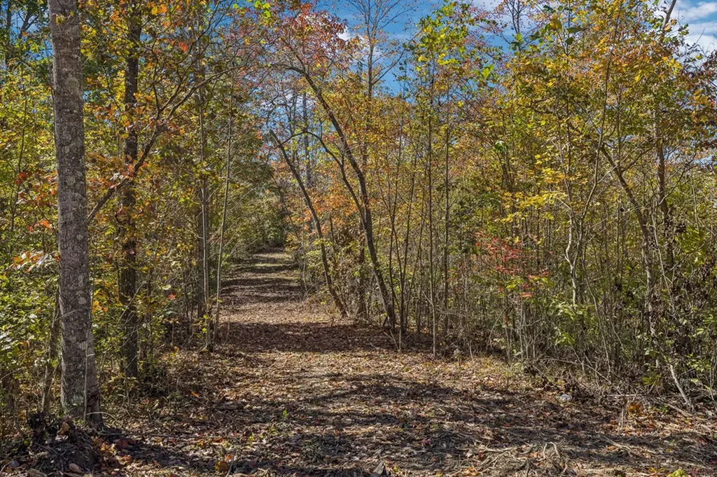 Tract 9 Off Of Sheep Ranch Road Robbins TN 37852