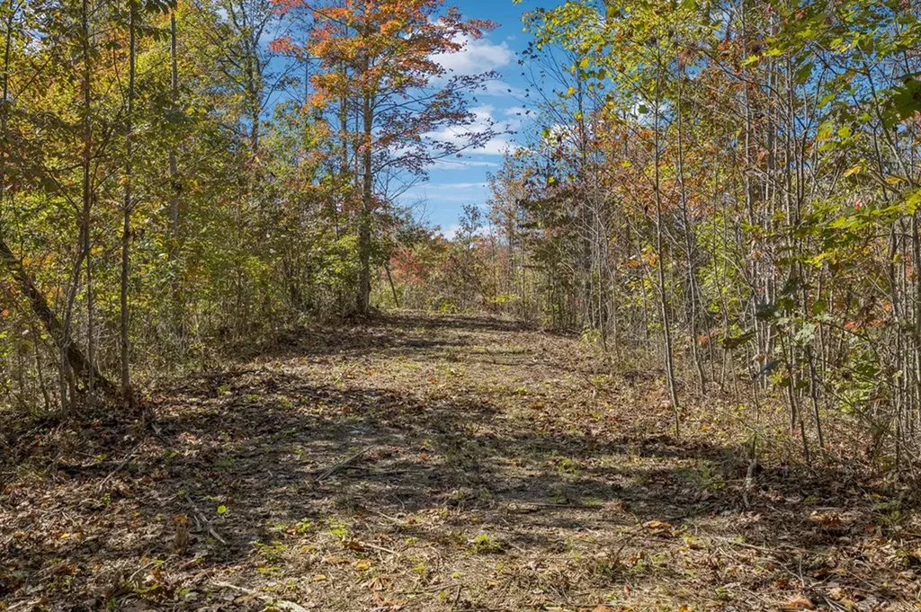 Tract 9 Off Of Sheep Ranch Road Robbins TN 37852