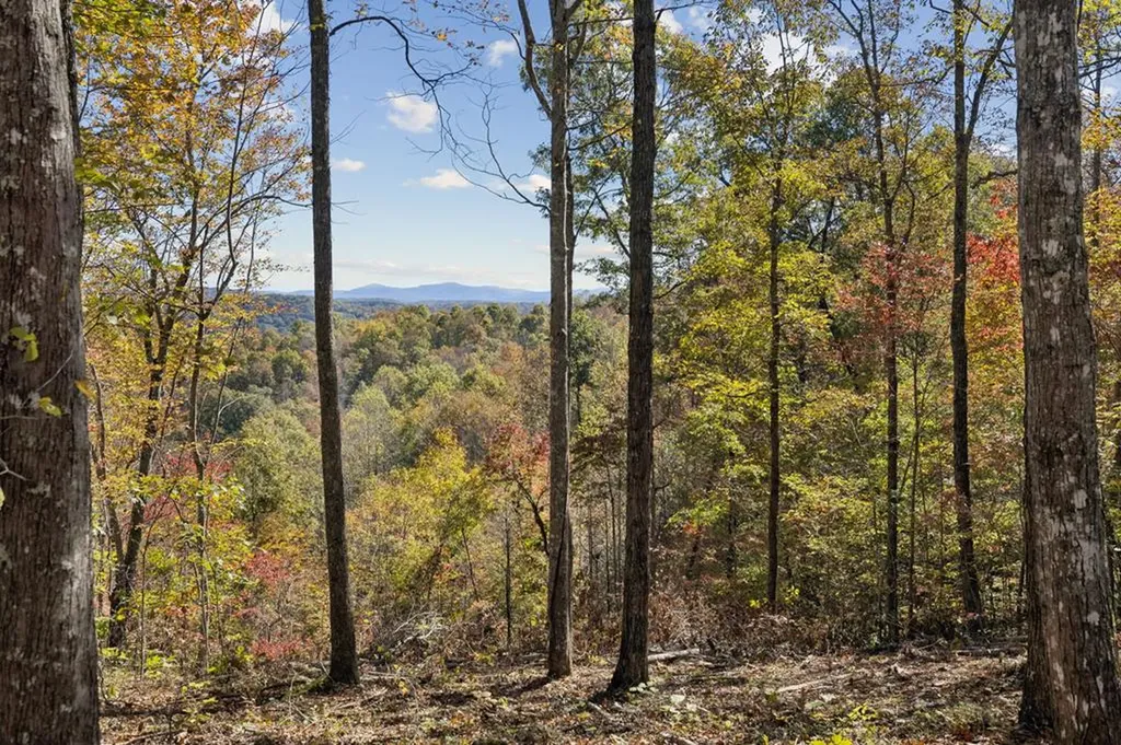 Tract 7 Off Of Sheep Ranch Road Robbins TN 37852