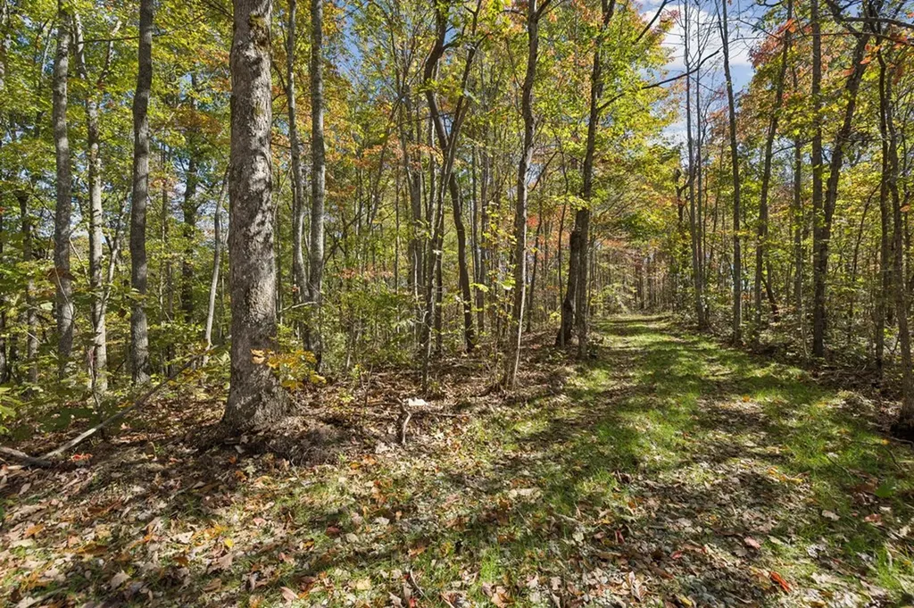 Tract 7 Off Of Sheep Ranch Road Robbins TN 37852