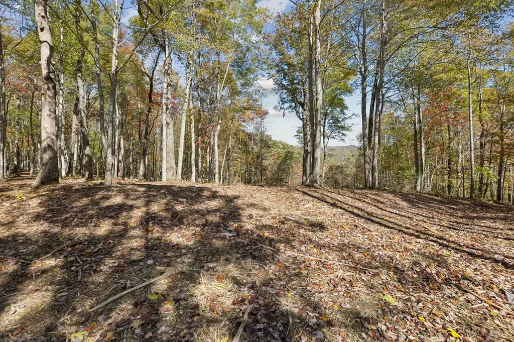 Tract 7 Off Of Sheep Ranch Road Robbins TN 37852