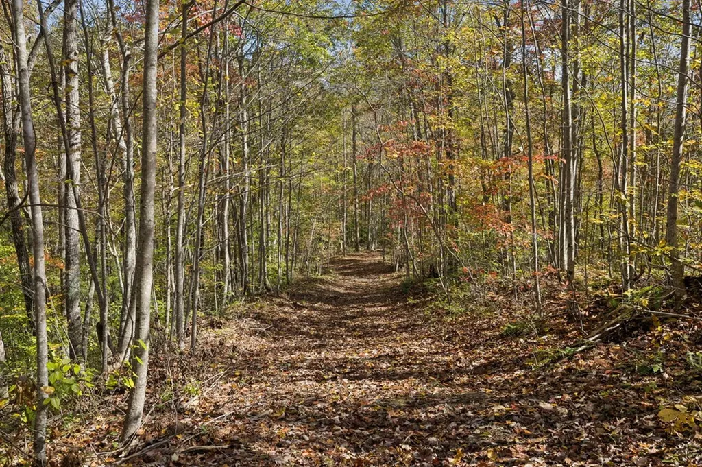 Tract 7 Off Of Sheep Ranch Road Robbins TN 37852