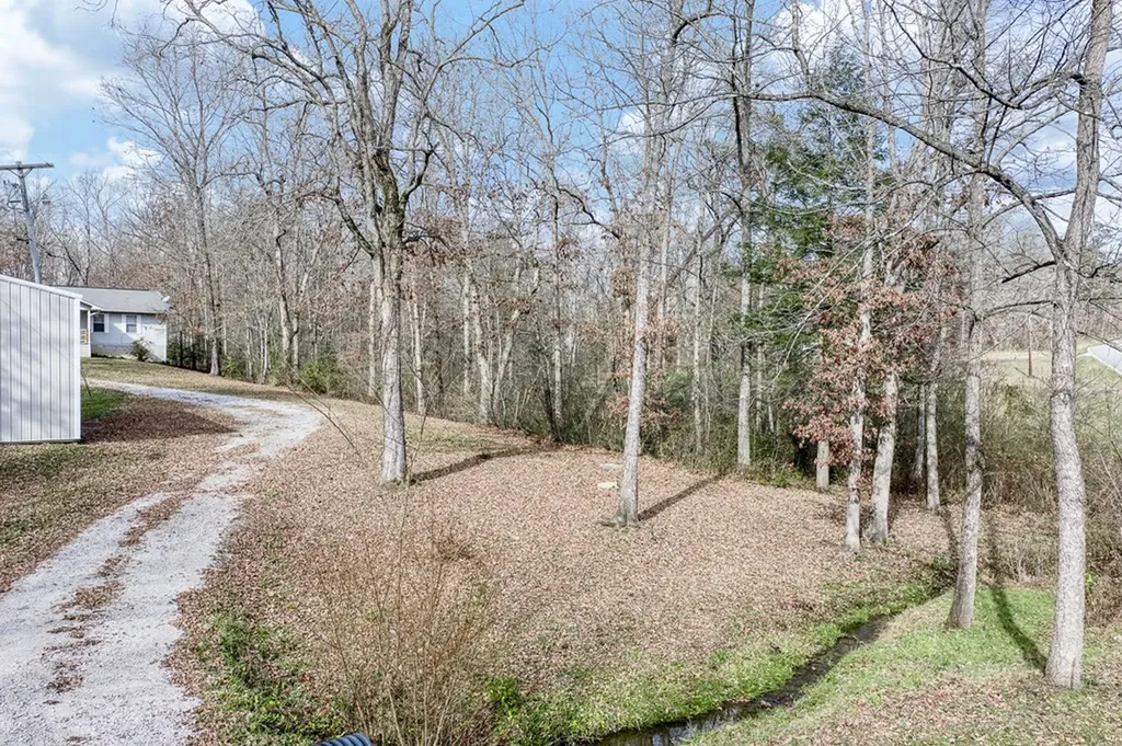 1621 Tabor Loop Crossville TN 38571