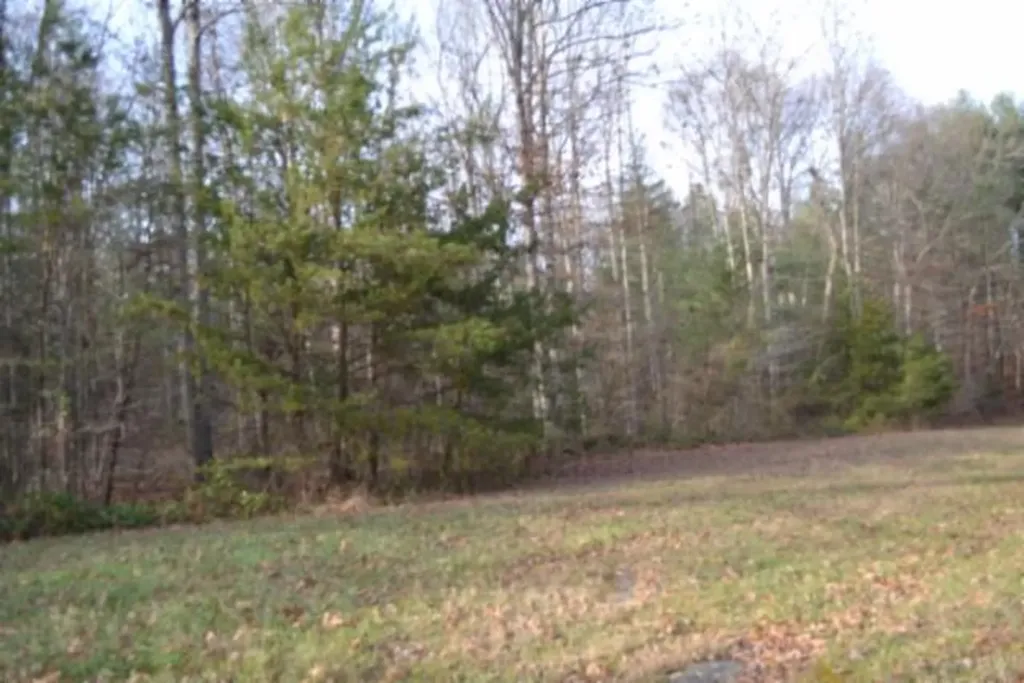 Lot 4 Shotgun Annie Road Jamestown TN 38556