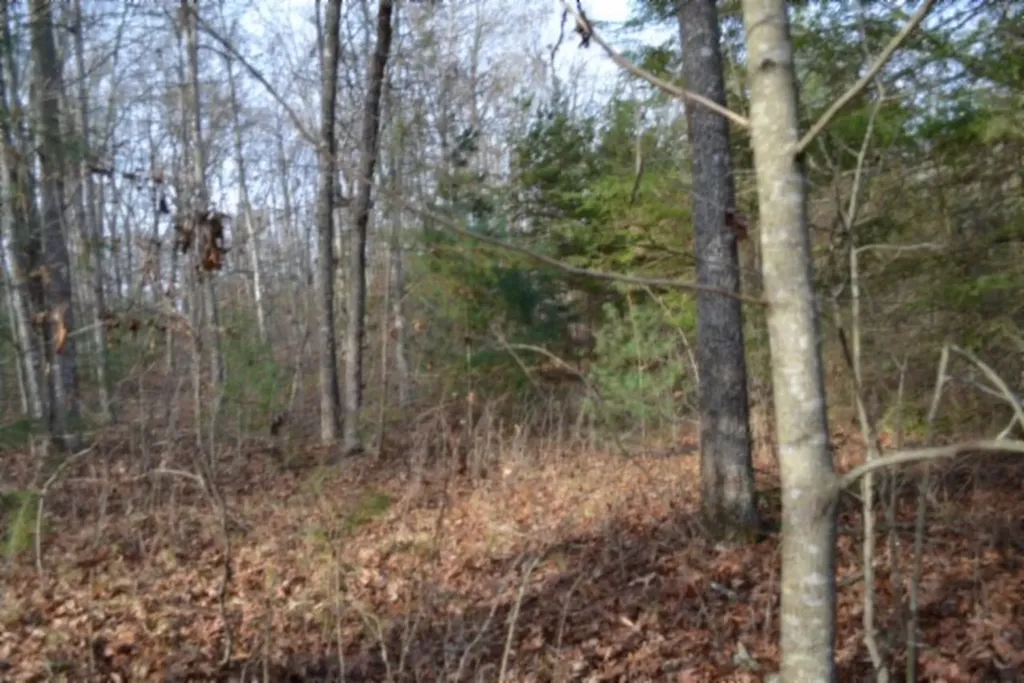 Lot 4 Shotgun Annie Road Jamestown TN 38556