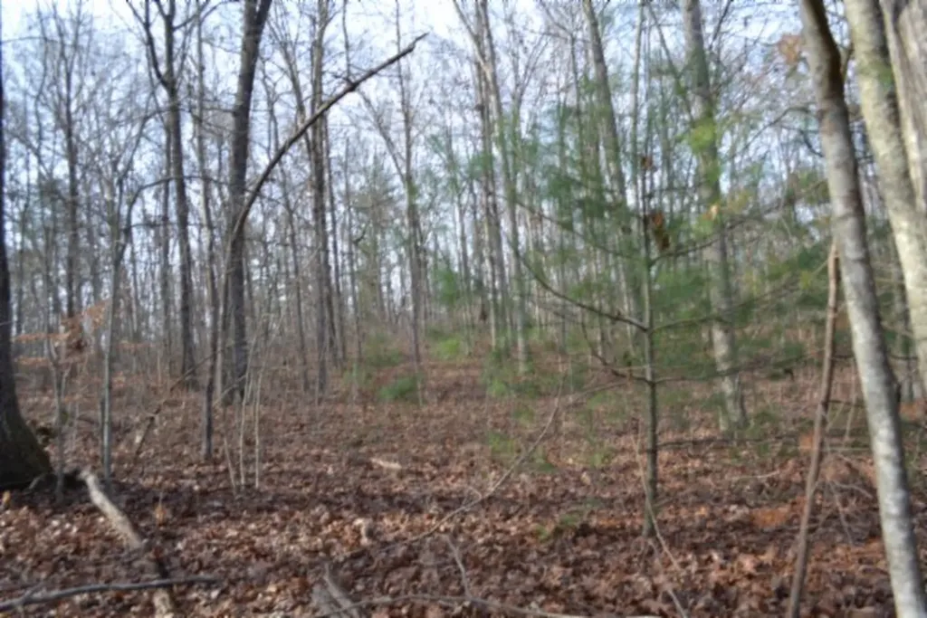 Lot 4 Shotgun Annie Road Jamestown TN 38556