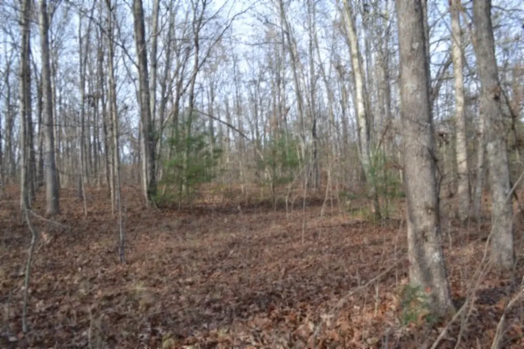 Lot 4 Shotgun Annie Road Jamestown TN 38556