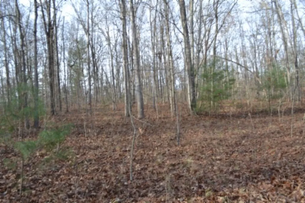 Lot 4 Shotgun Annie Road Jamestown TN 38556