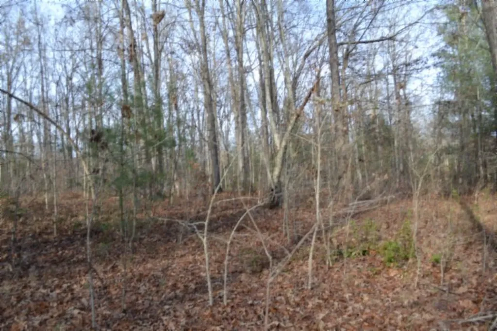 Lot 4 Shotgun Annie Road Jamestown TN 38556